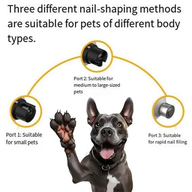 Transform Grooming into a Loving Connection